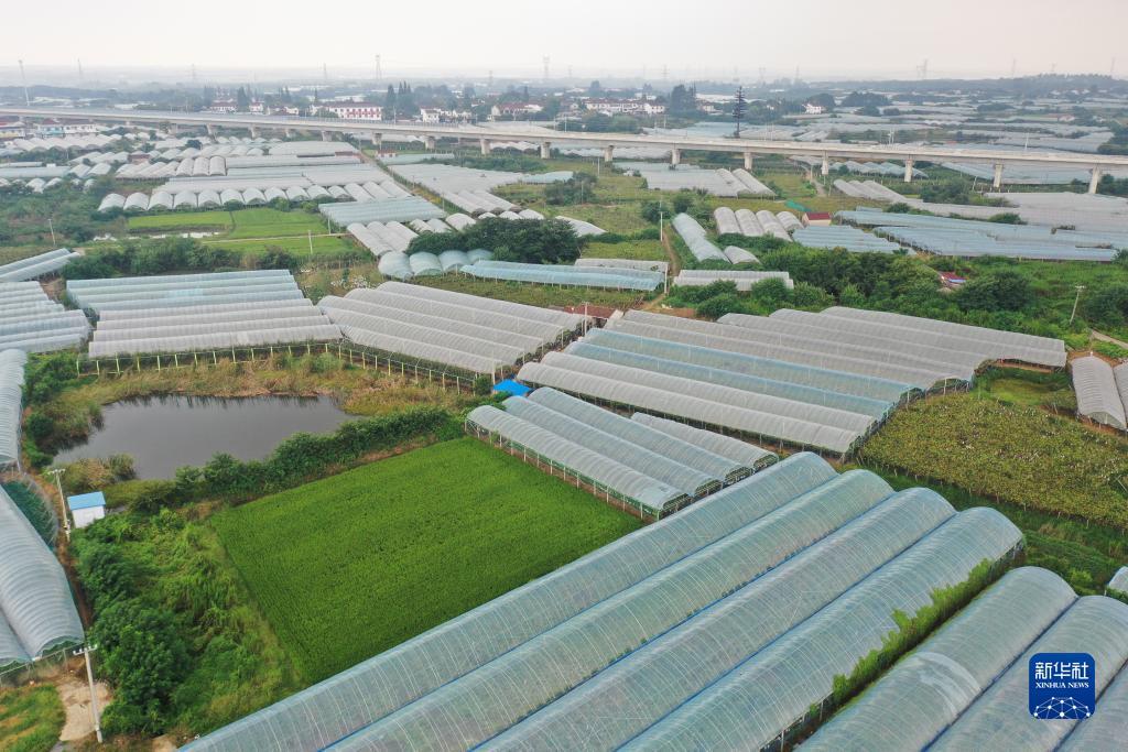 老虎的资料网页